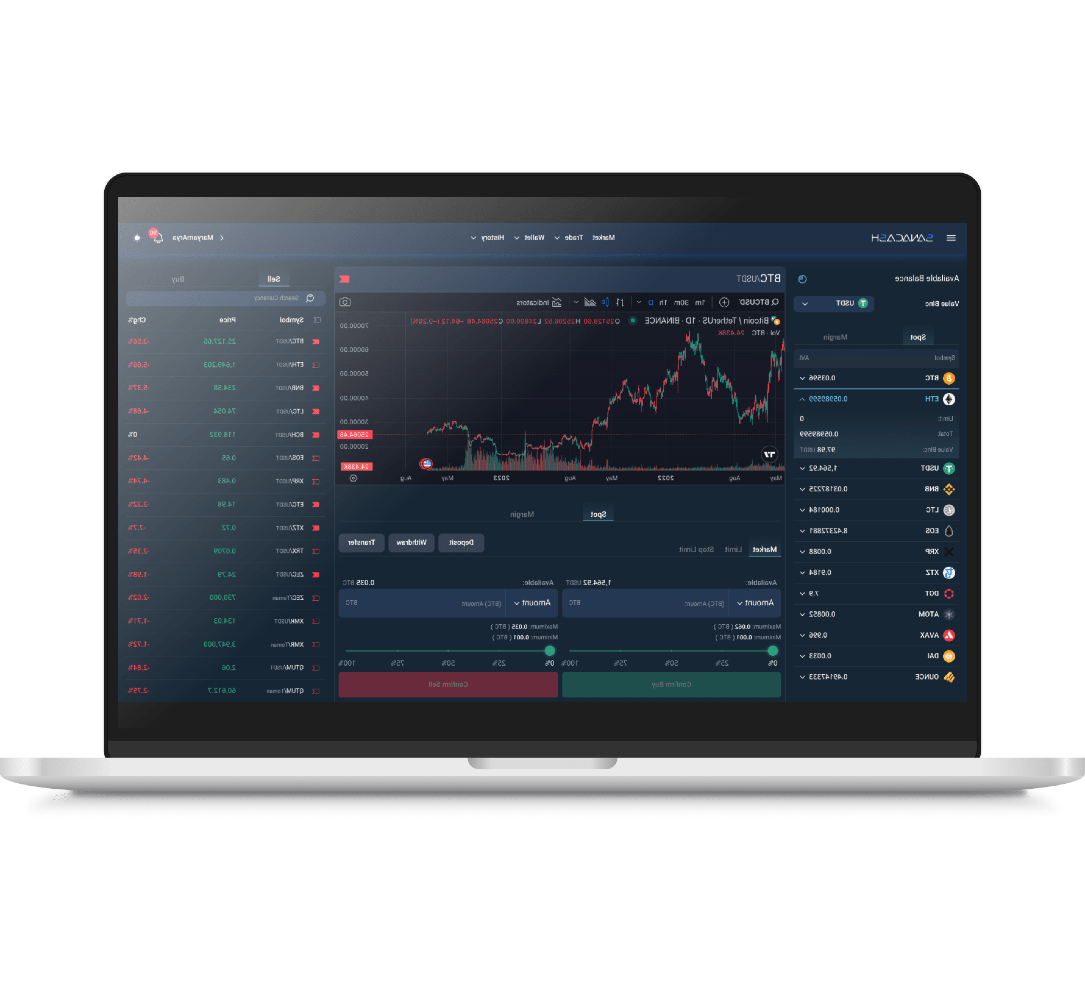 SanaCash Laptop Demo